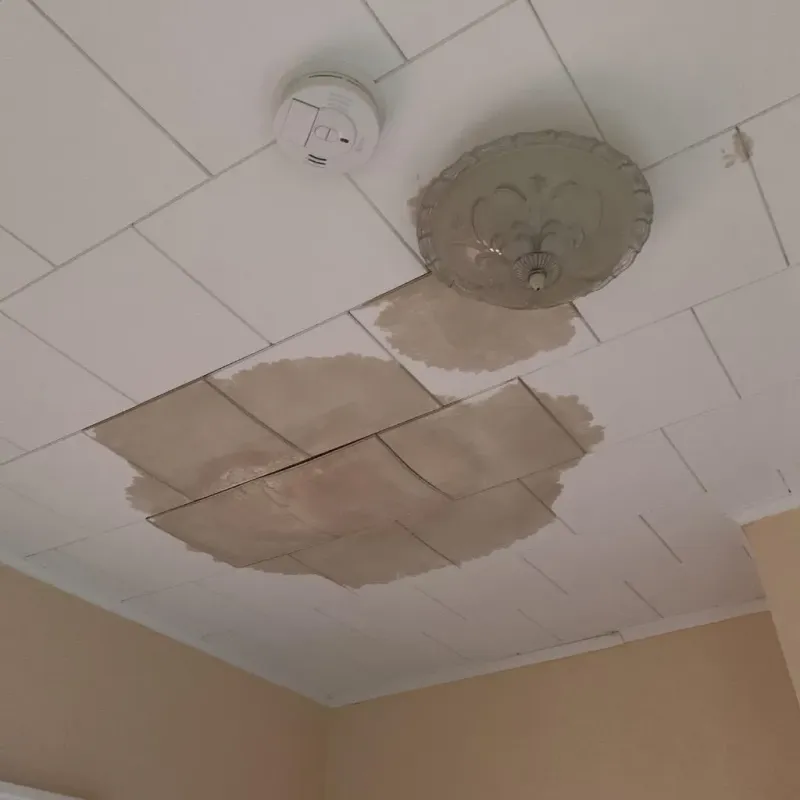 Ceiling Water Damage Repair in Island City, OR