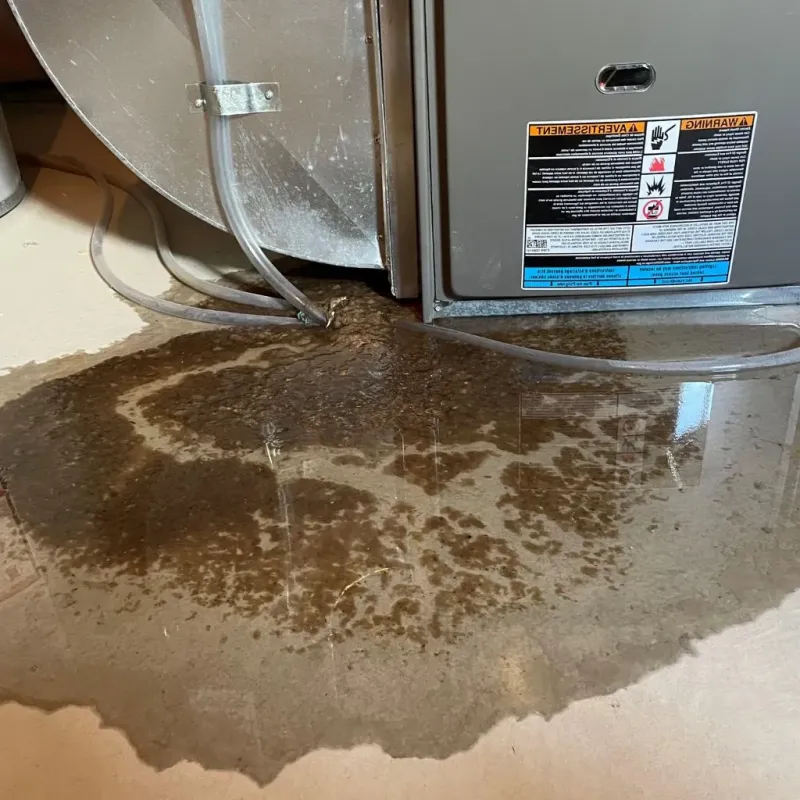 Pipe Burst and Leak Restoration in Island City, OR
