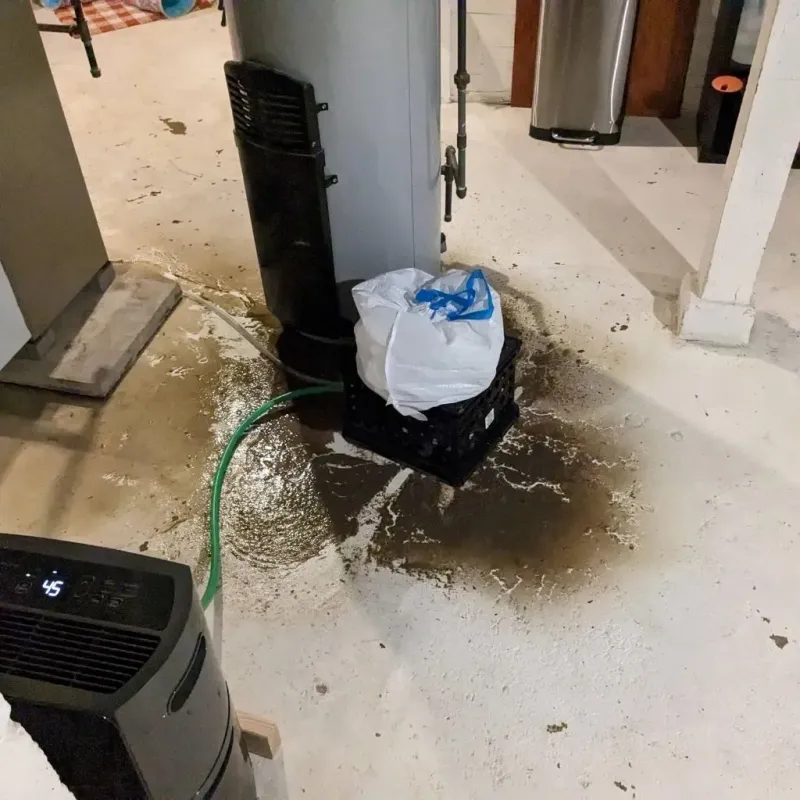 Sewage Backup Cleanup Service in Island City, OR